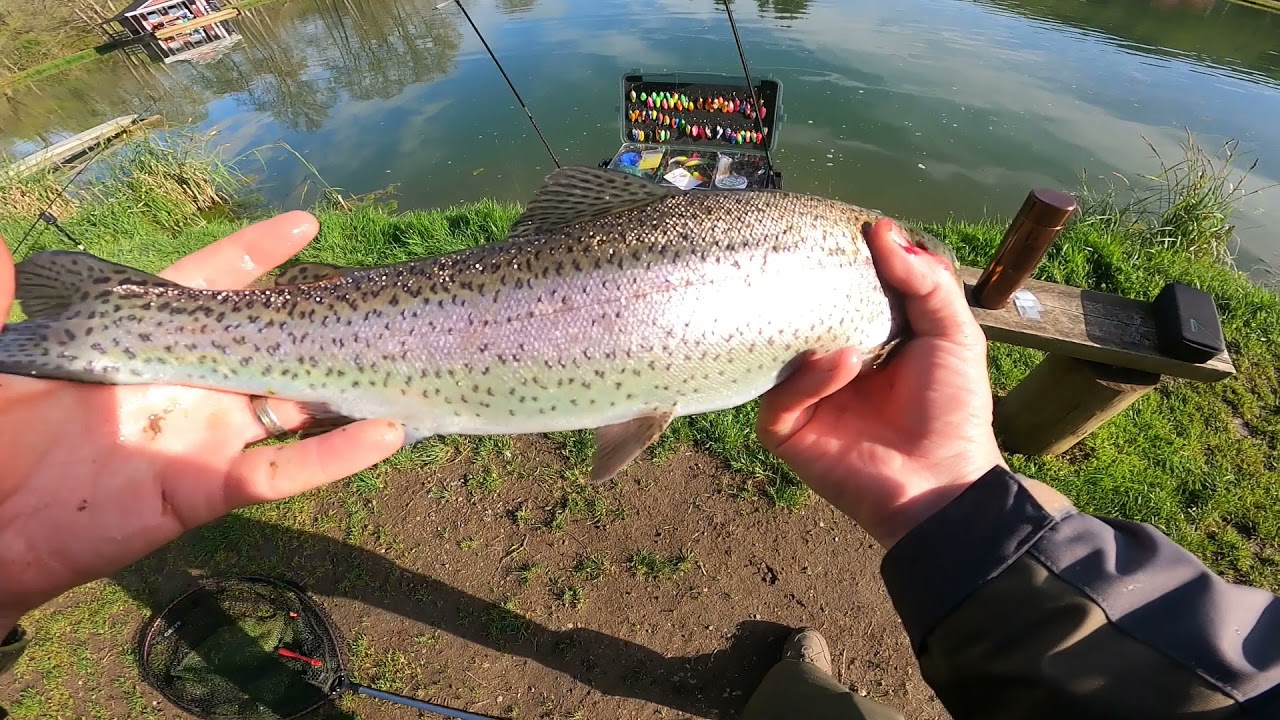 Troutbuddys mit Trout Area Sports im Oosbachtal auf Lachsforellen