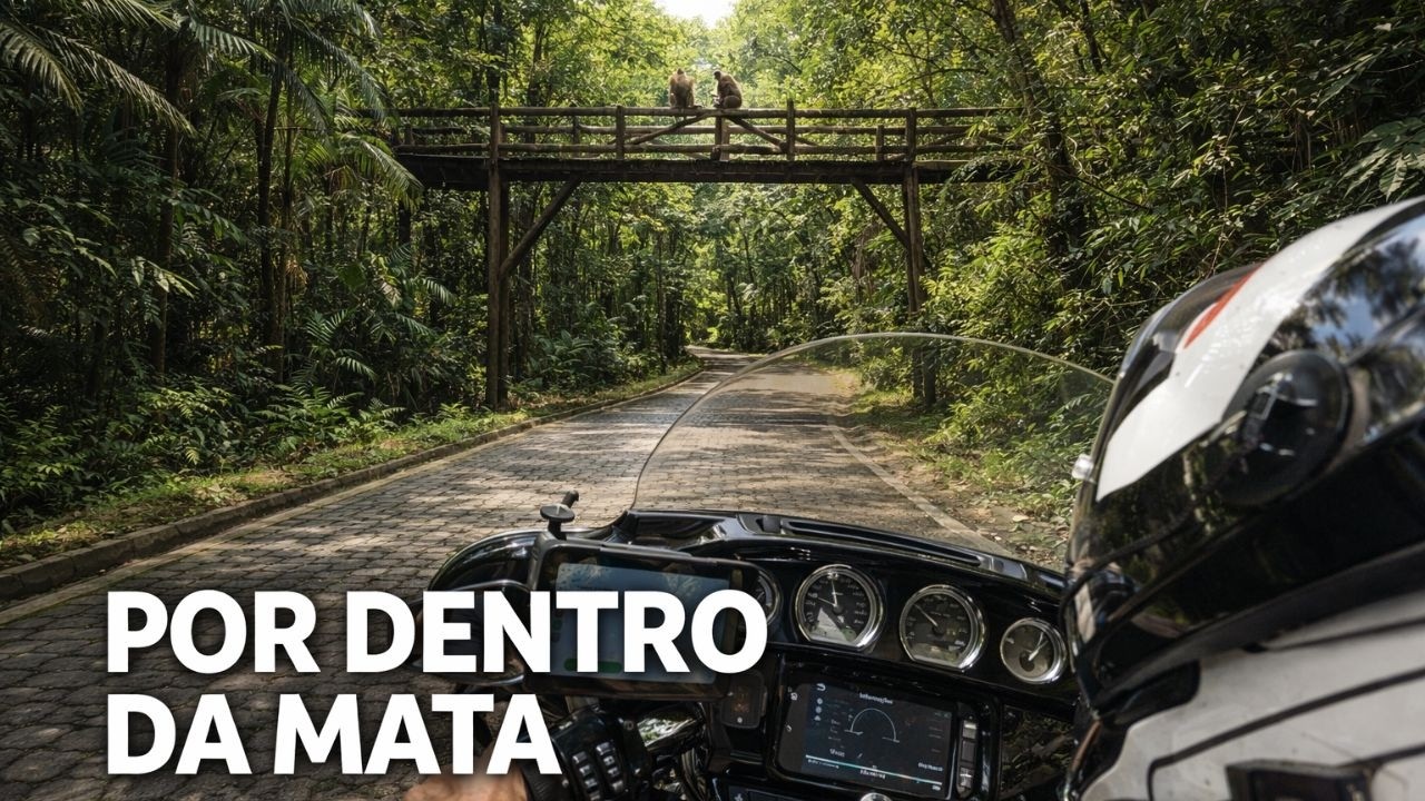 Uma das estradas mais bonitas do interior de SP