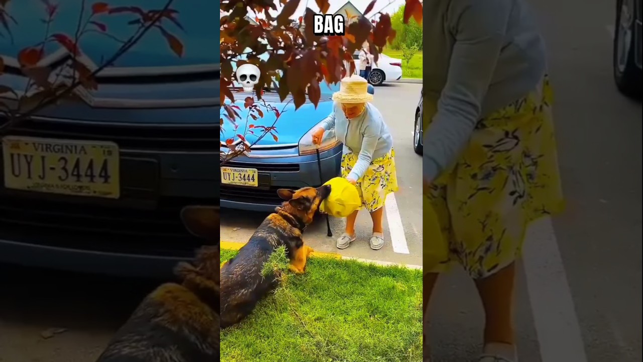 Old Lady&rsquo;s Small Act of Kindness Melts Hearts #shorts