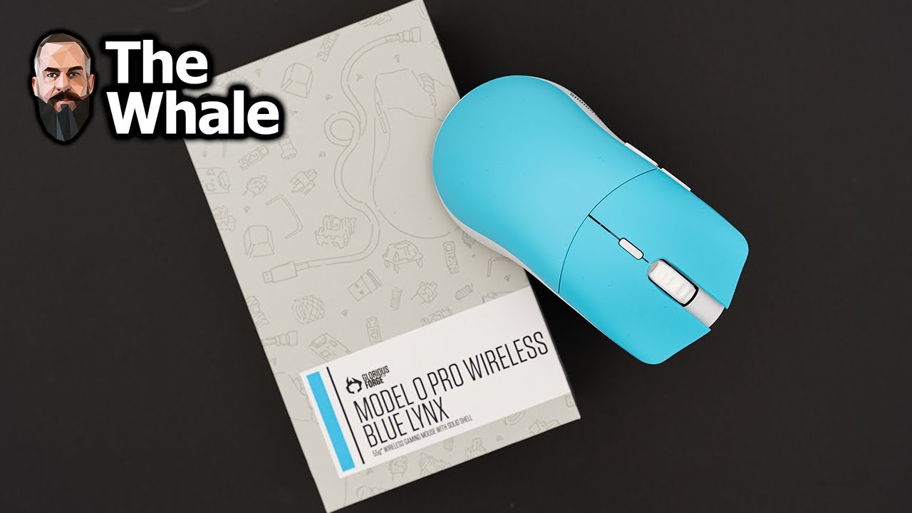 Die neue GLORIOUS MODEL O PRO? 120€ wert??