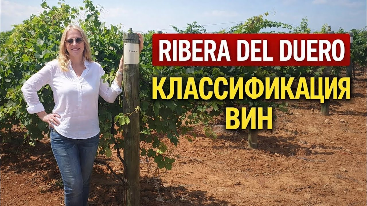 RIBERA DEL DUERO: как определить оригинальную классификацию?