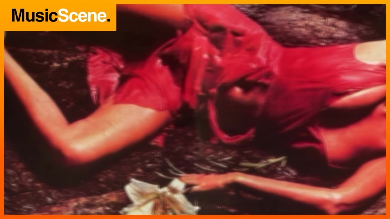 How Roxy Music Changed Rock Forever - Innovation, Style and the Sound of the Future