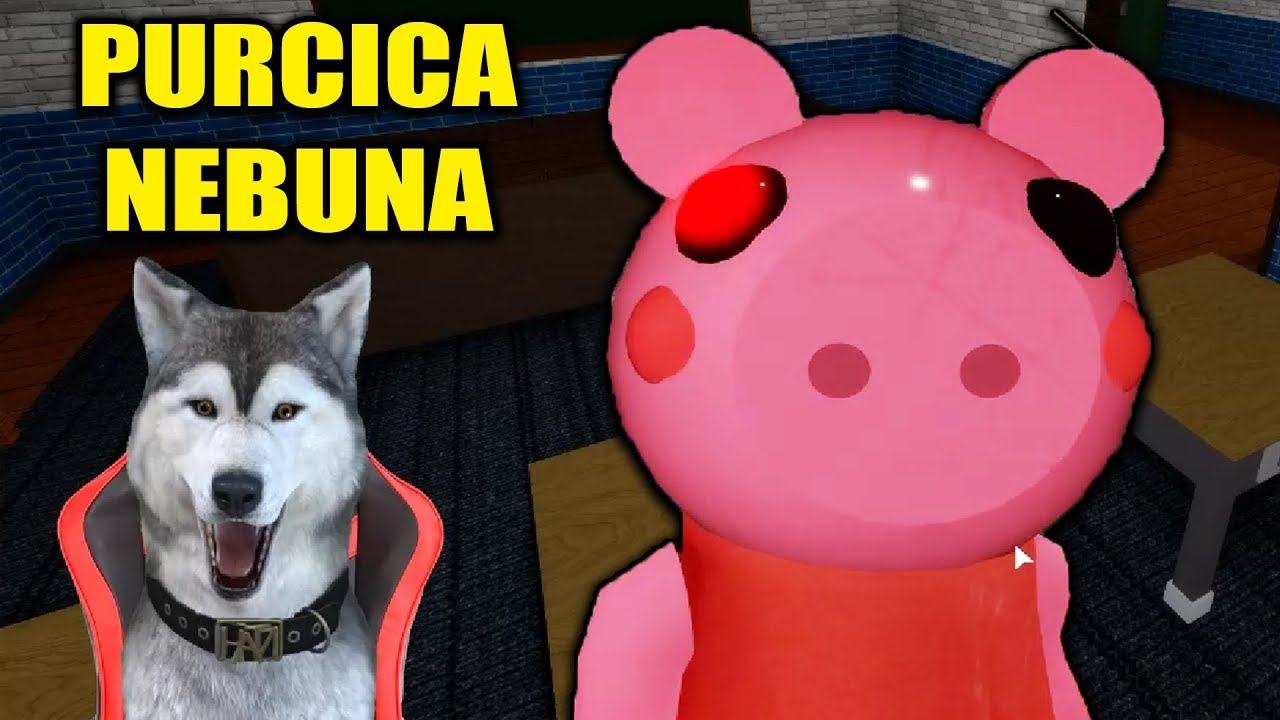 PIGGY ESTE PURCICA NEBUNA