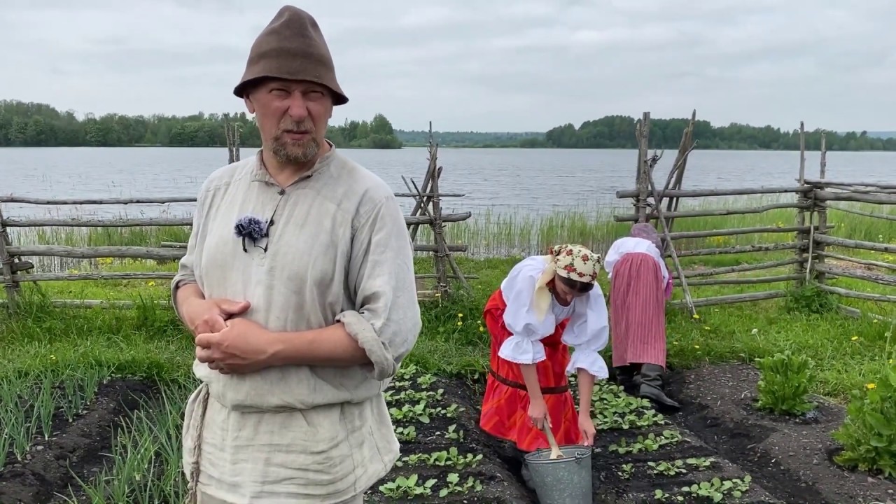 Кофе и брюква: Огород заонежского крестьянина