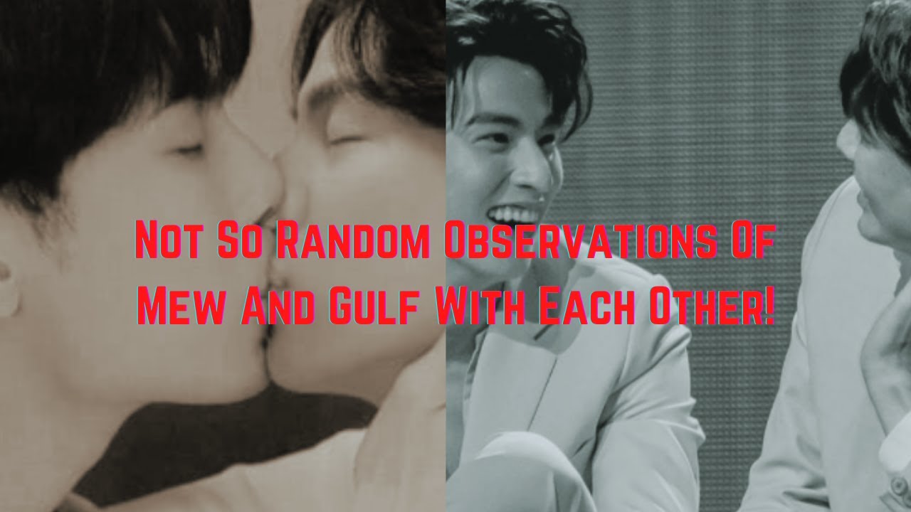 Not So Random Observations Of Mew And Gulf With Each Other!