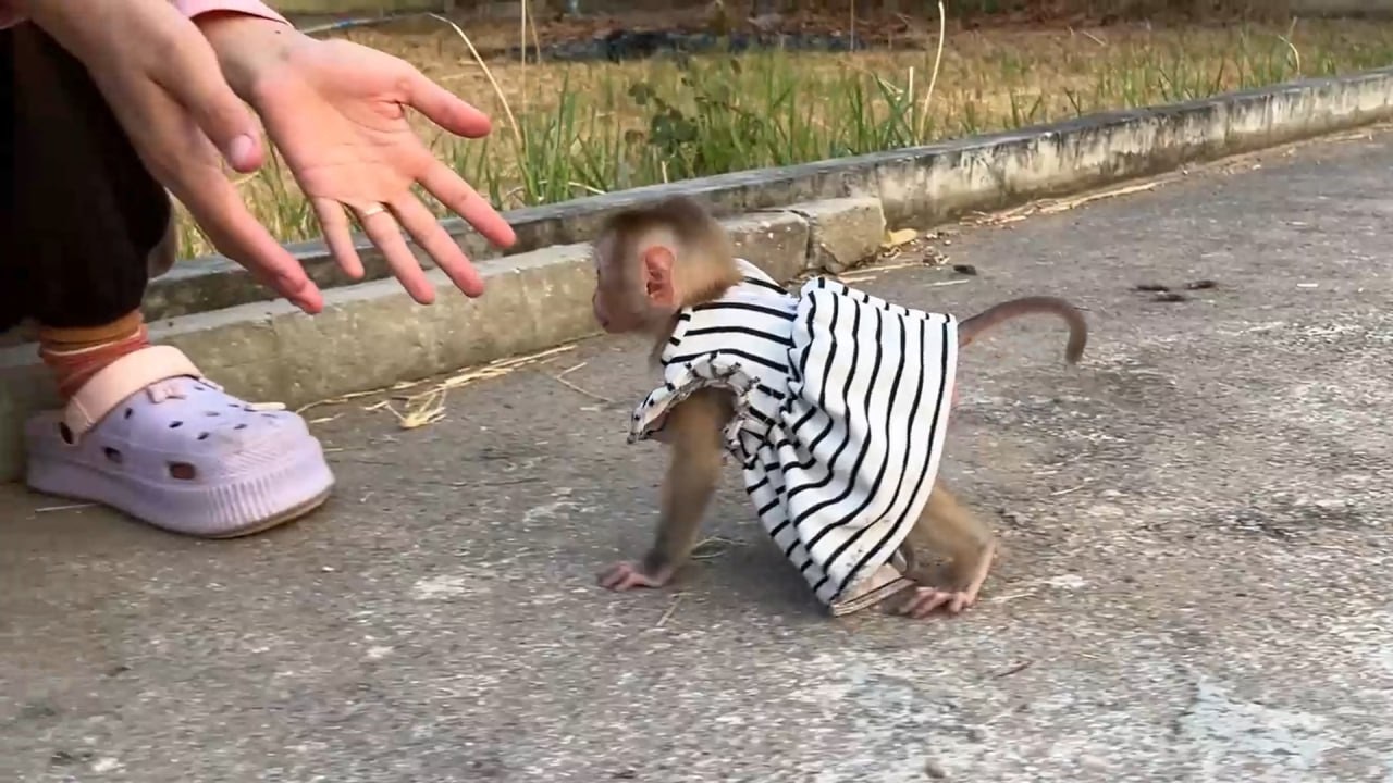 Energic Yuri Running Fast Like Rabbit To Mom Pleased Her Becoz Mom Have Milk Bottle