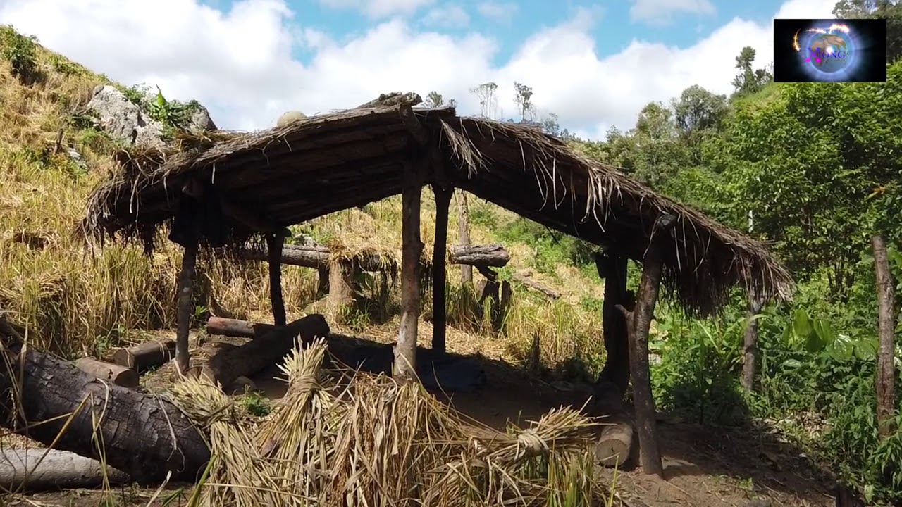 KHIAV MUS THAIB TEB THIAB MUAB TIEM TUA POV TSEG/11/7/20