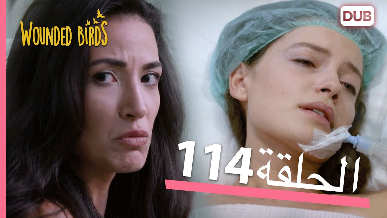 الطيور الجريحة | الحلقة الكاملة 114 |  مدبلج عربي