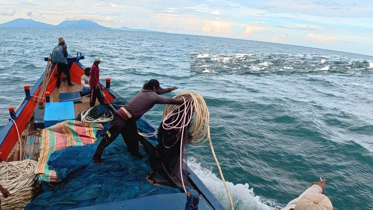 Pukat cincin, Nelayan Indonesia Dapat Banyak Ikan, luar biasa hasil tangkapan nelayan Indonesia