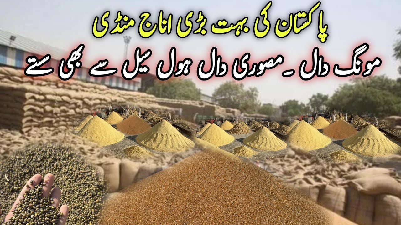 Pakistan Biggest Grains Market |Anaj ki Bari Mandi KY Wholesale sy low rate