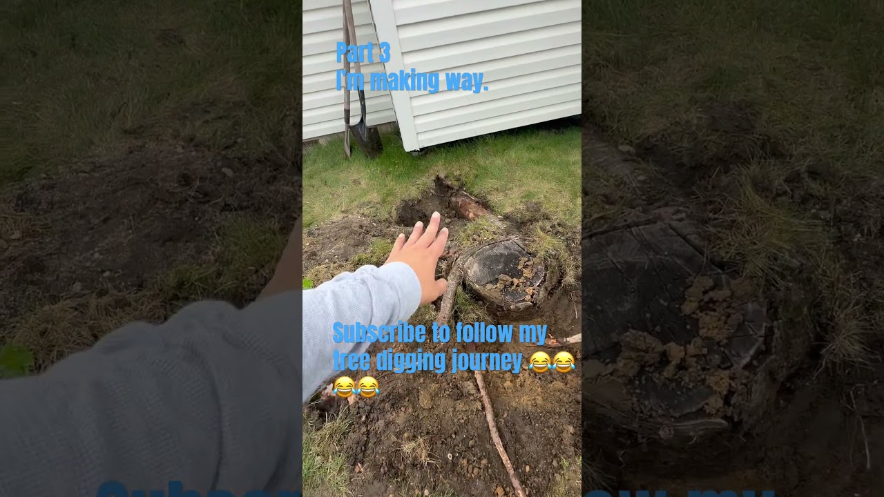 Part 3 of my adventure. #tree #dig #garden #yard #power #muscles #pov #new #life #vlog #sahm