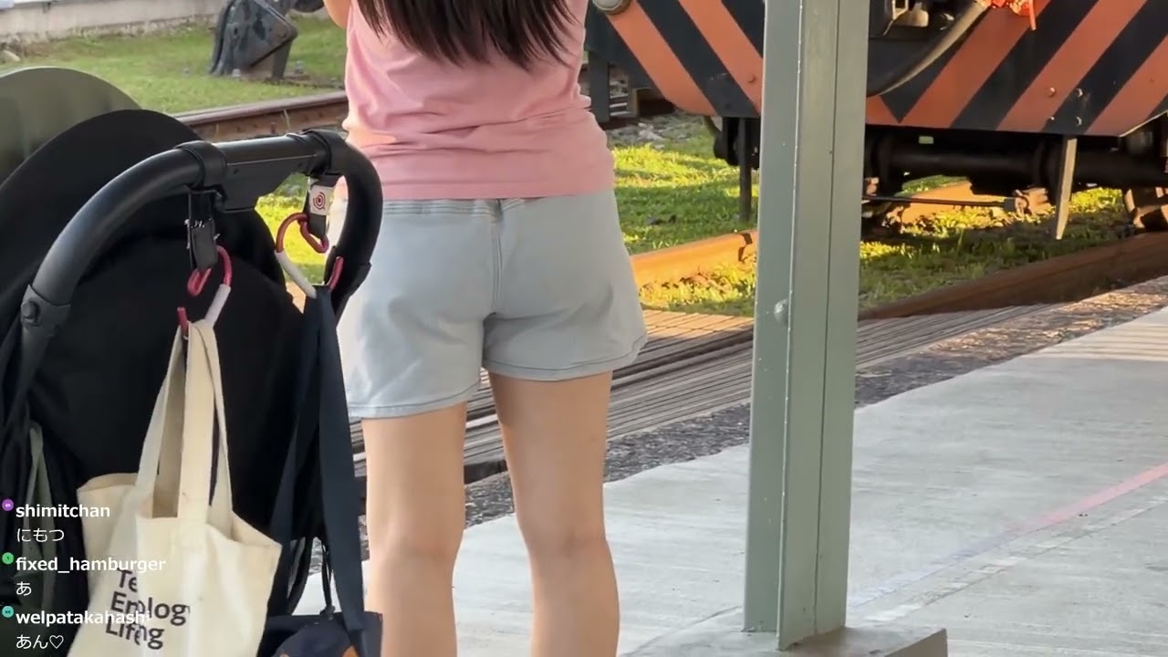 電車を撮るはずが何故か尻にズームされる