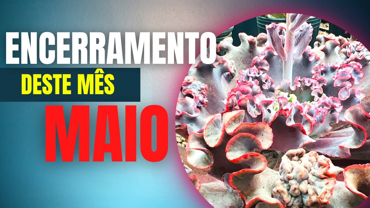 MUITO OBRIGADO A TODOS QUE ESTIVERAM CONOSCO !!!