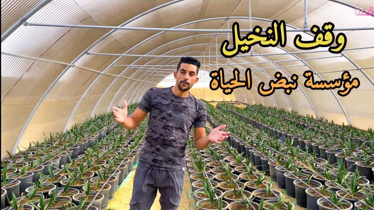 زيارة مزرعة وقف النخيل لمؤسسة نبض الحياة بالفرافرة علي مساحة ١٠٠٠ فدان - الجزء الأول