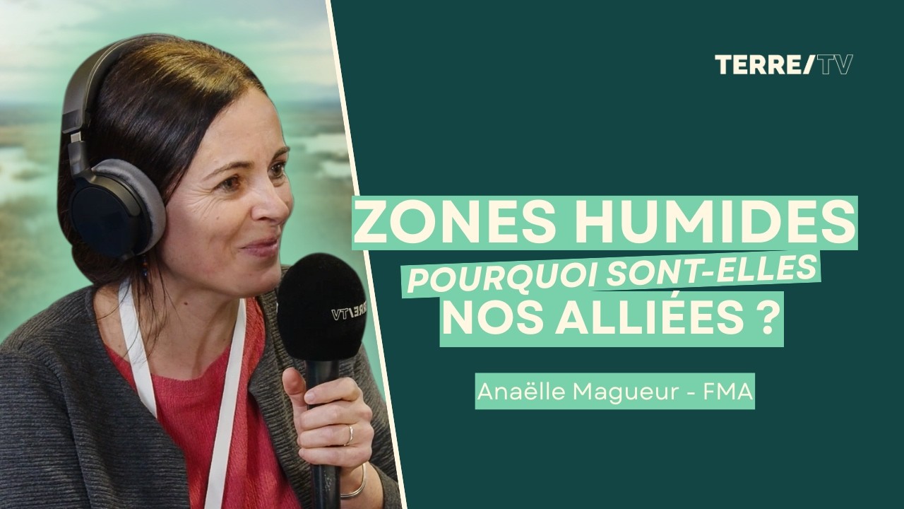 🌿Zones humides : Nos alliées face aux inondations et sécheresses. (Anaëlle Magueur)