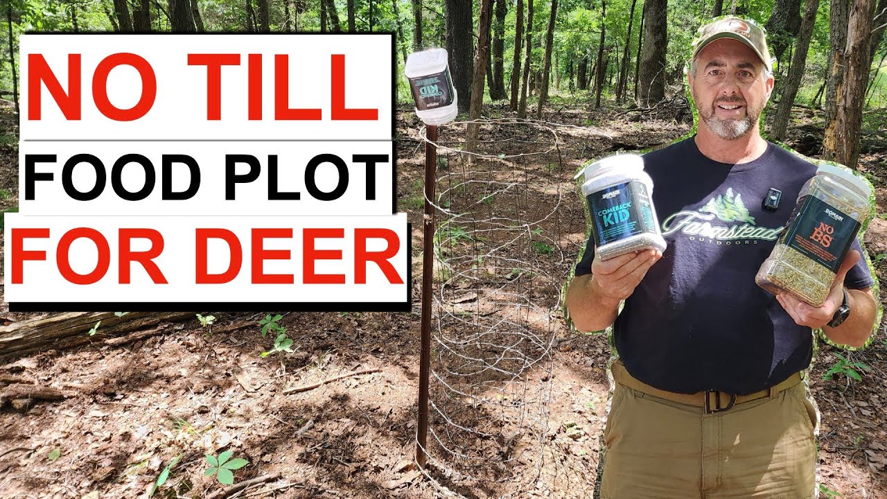 No Till Food Plot: For Deer in the Woods