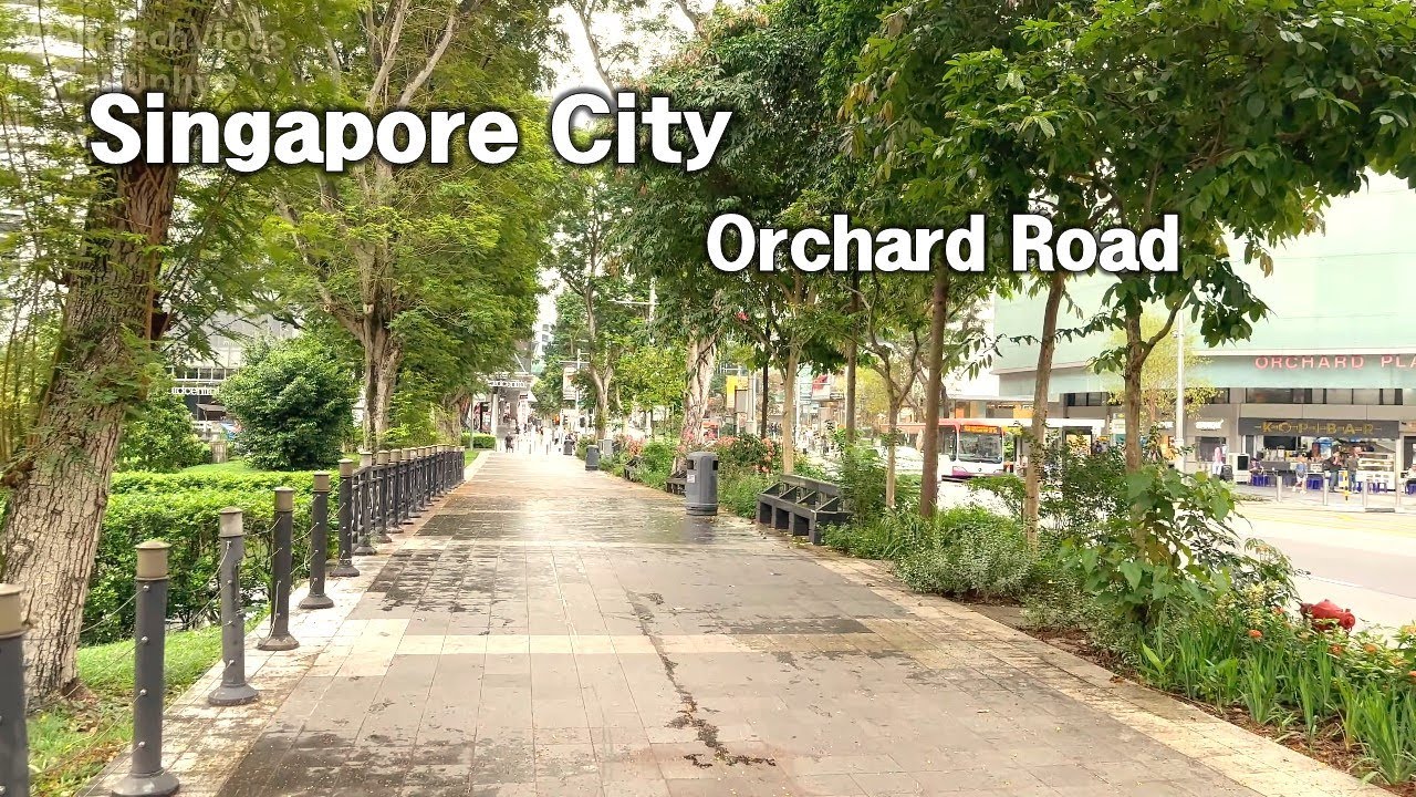 The greenery Orchard Road before it started raining | Singapore Walking Tour