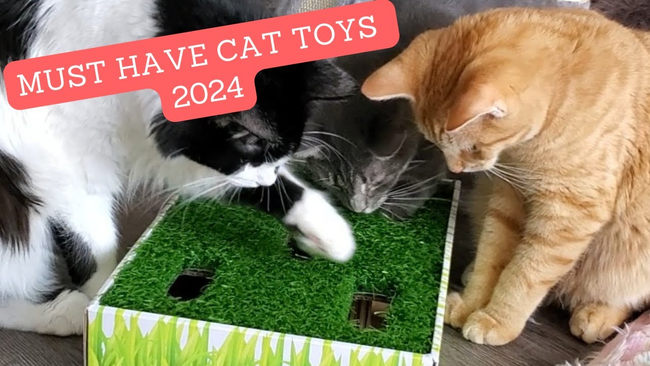 Best Interactive Cat Toys of 2024!