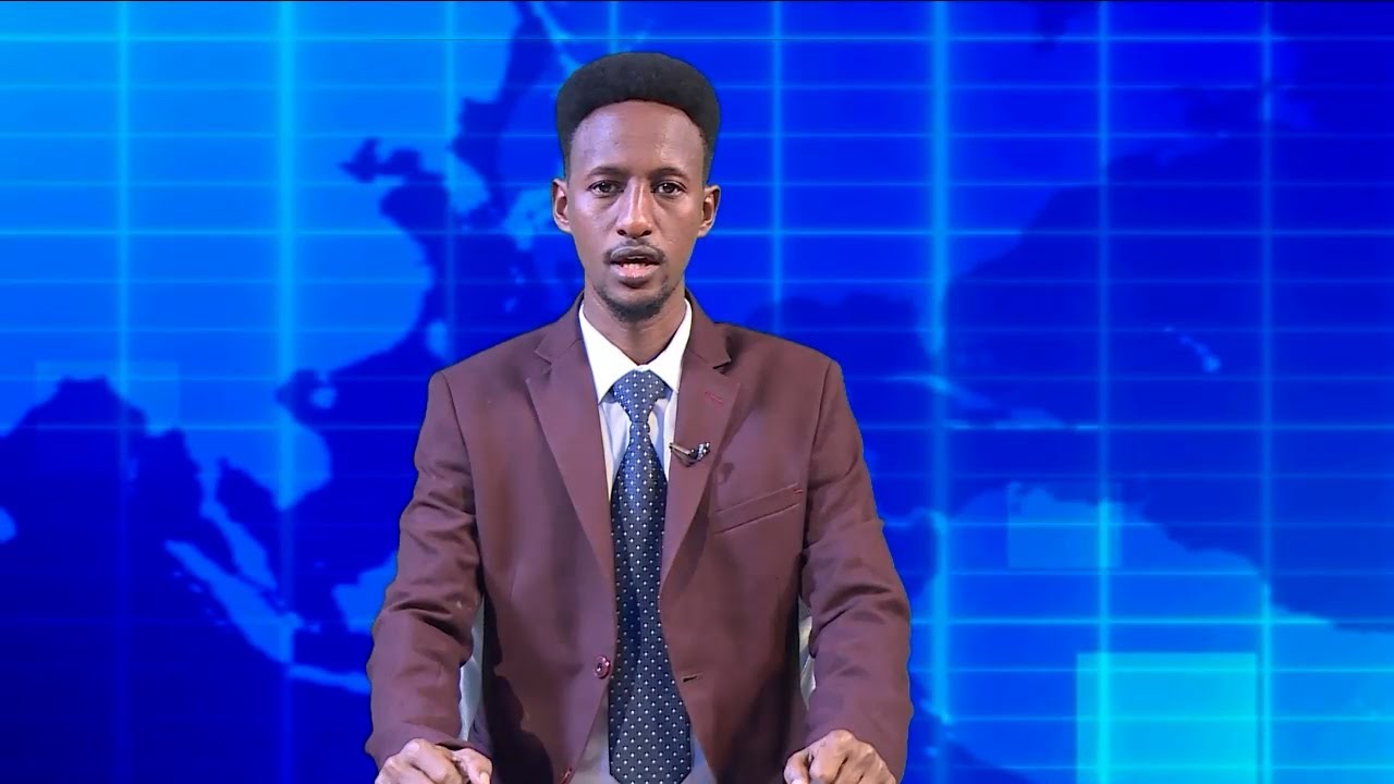 Warka Universal TV  06 02 2026
