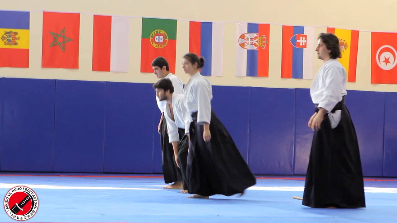 5th International Aikido Festival, Turkey