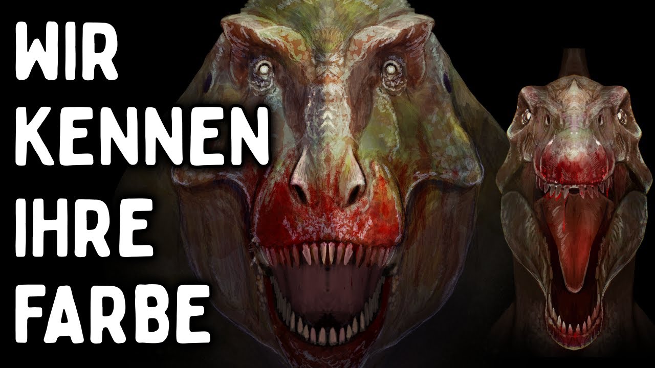 20 Minuten Dinosaurierfakten die dir im Leben gefehlt haben