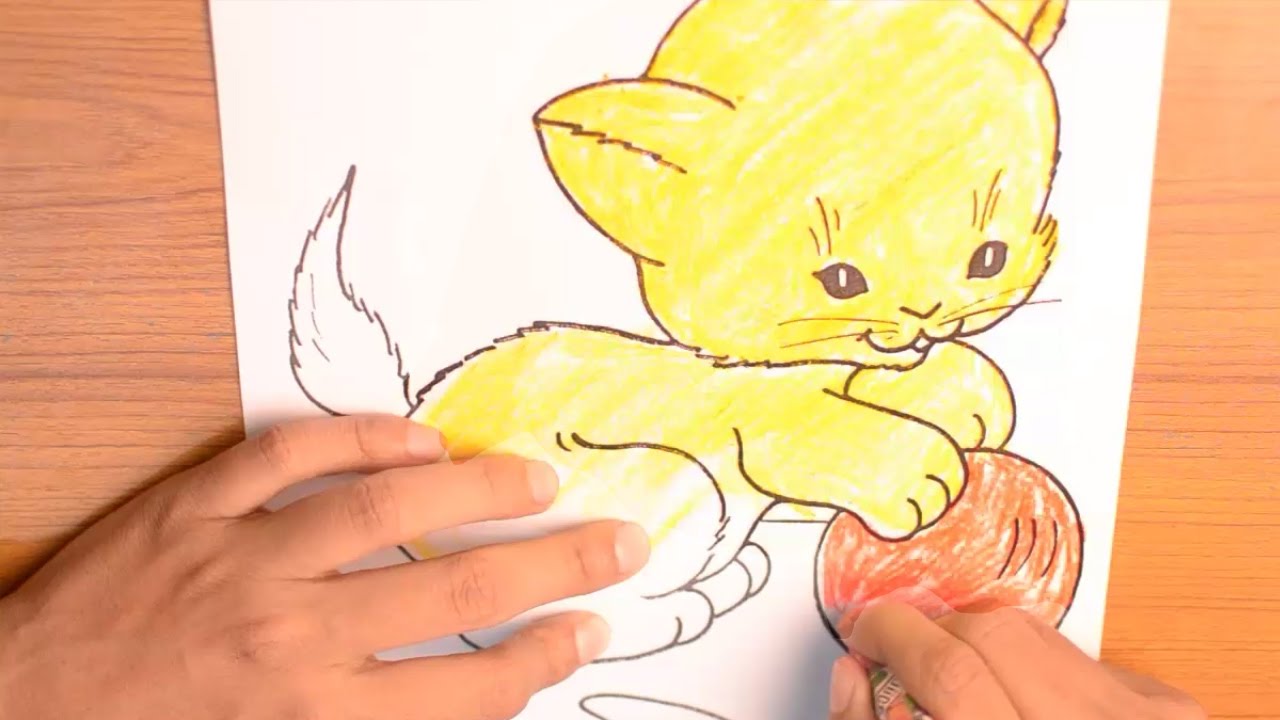 CUTE CAT COLORING | Cat Coloring Papers for kids | Coloring Video for kids