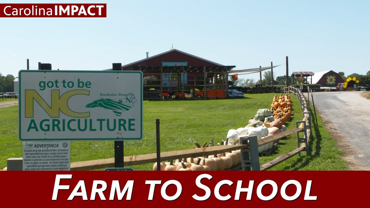 Farm To School | Carolina Impact