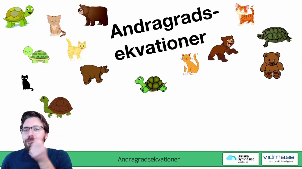 Matematik 2. LÖSA ANDRAGRADSEKVATIONER. Viktigaste genomgången i kursen?