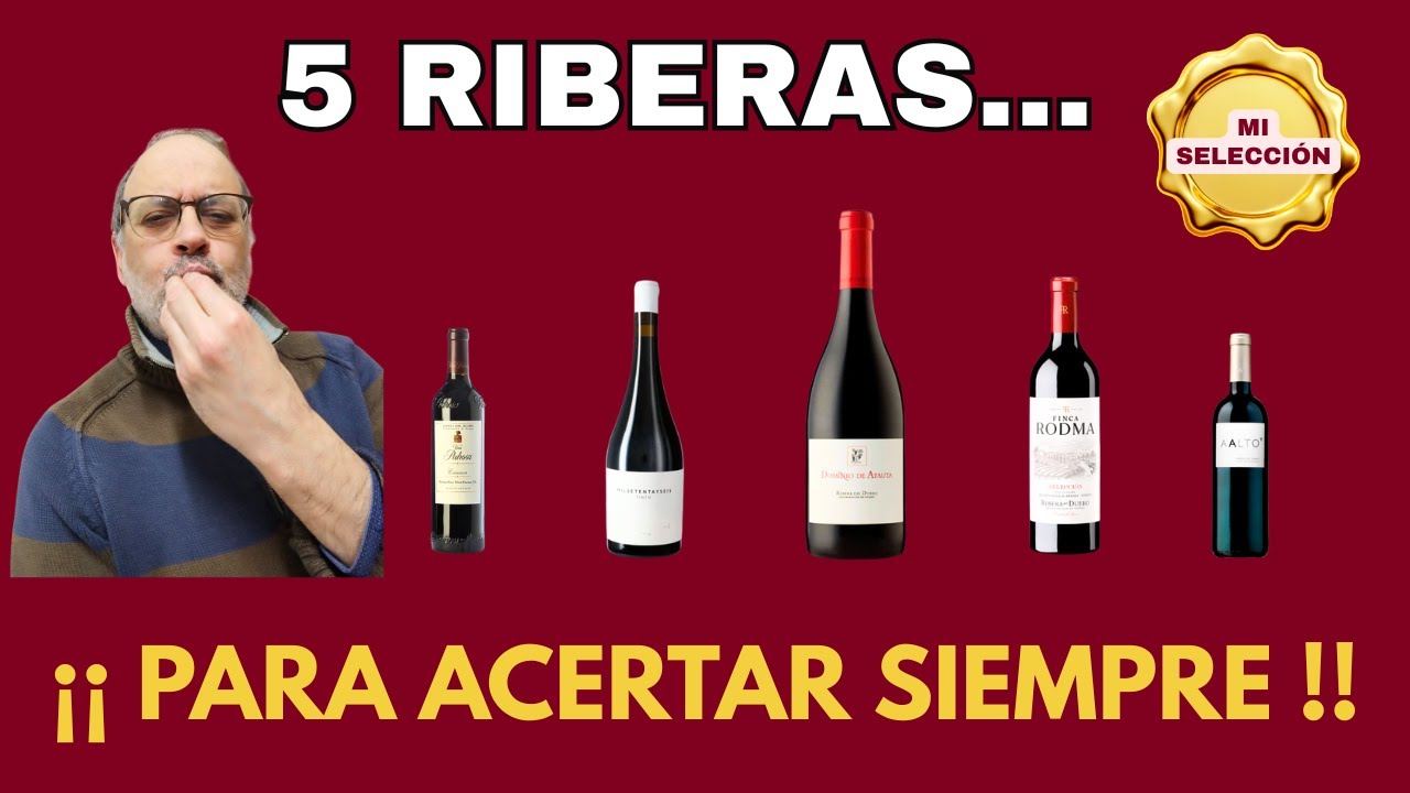 5 Vinos de RIBERA DEL DUERO Imprescindibles: &iexcl;No fallar&aacute;s NUNCA! 💎