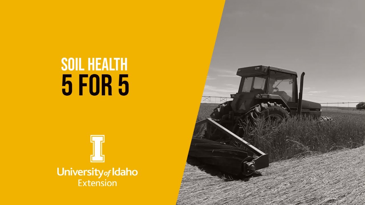 Soil Health 5 for 5: April 2, 2025