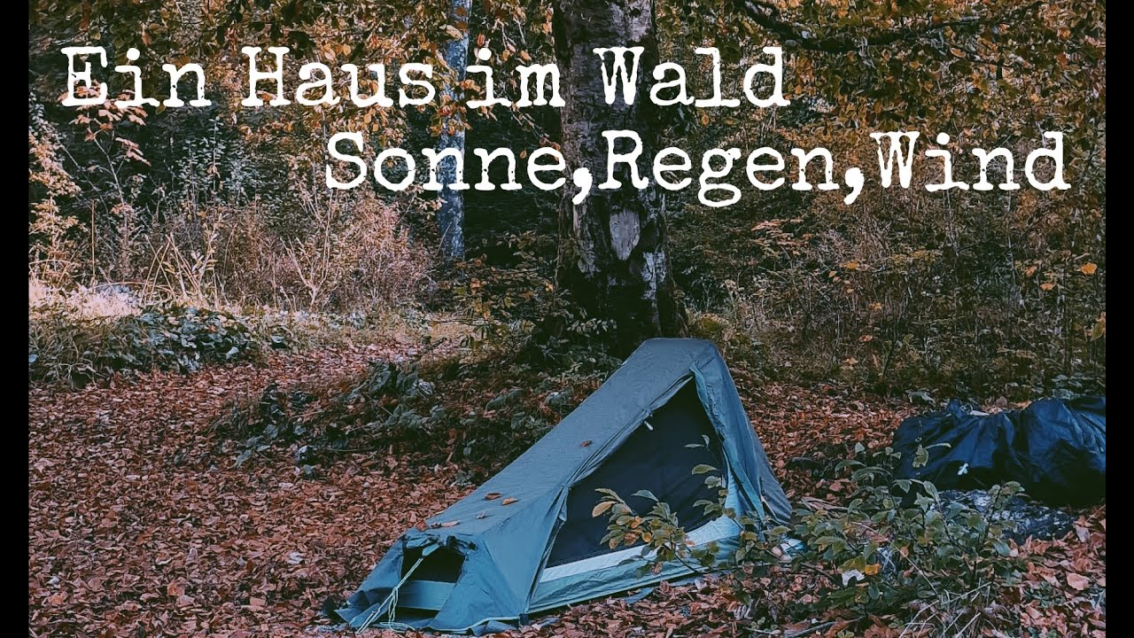 Djonis Adventure - Ein Haus im Wald #bushcraft #herbst #outdoor