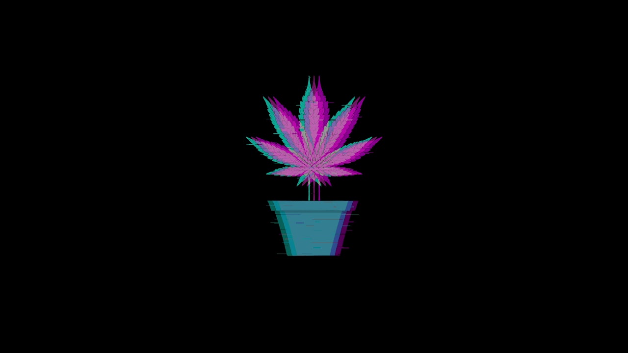 wolfsega - Sticky in the Backyard (ft. wolfgxd, Twopoint0, Cosmic OG & Chibuso)