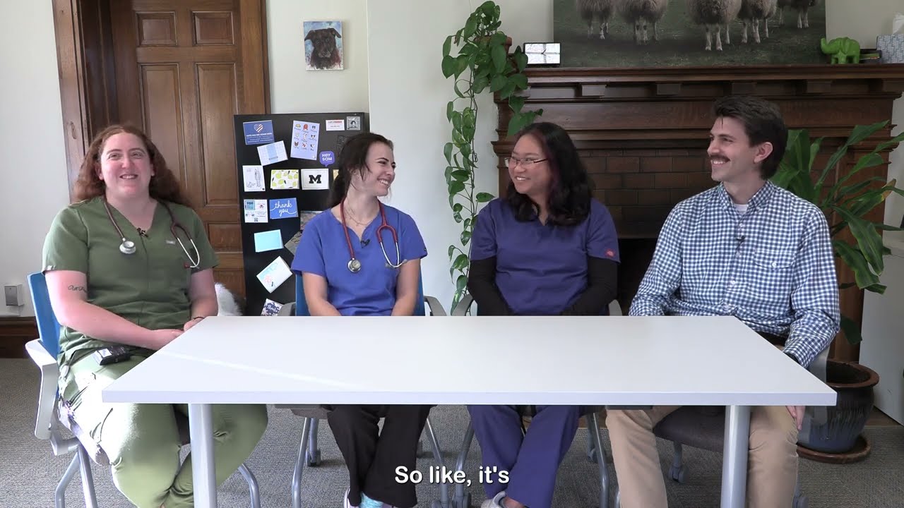 Doctor of Veterinary Medicine/Master of Public Health Program Overview