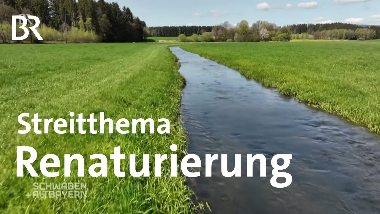 Hochwasserschutz, Artenschutz und Klimaschutz - Renaturierung der Bäche | Schwaben + Altbayern | BR