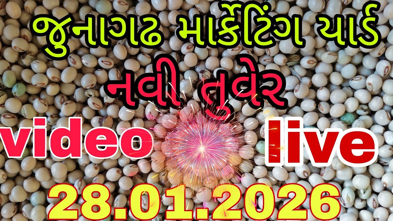 જુનાગઢ માર્કેટિંગ યાર્ડ લાઈવ ભાવ નવી તુવેર ના બજાર ભાવ બુધવાર  28.01.2026 / junagadh marketing yard 