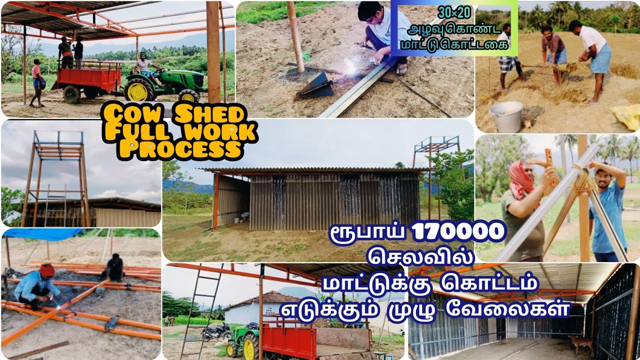 மாட்டு கொட்டகை ரெடி பண்ணியாச்சு கூடவே தண்ணி டேங்க் ஸ்டேண்ட் செஞ்சாச்சு/Cow Shed A-Z Fullwork Process