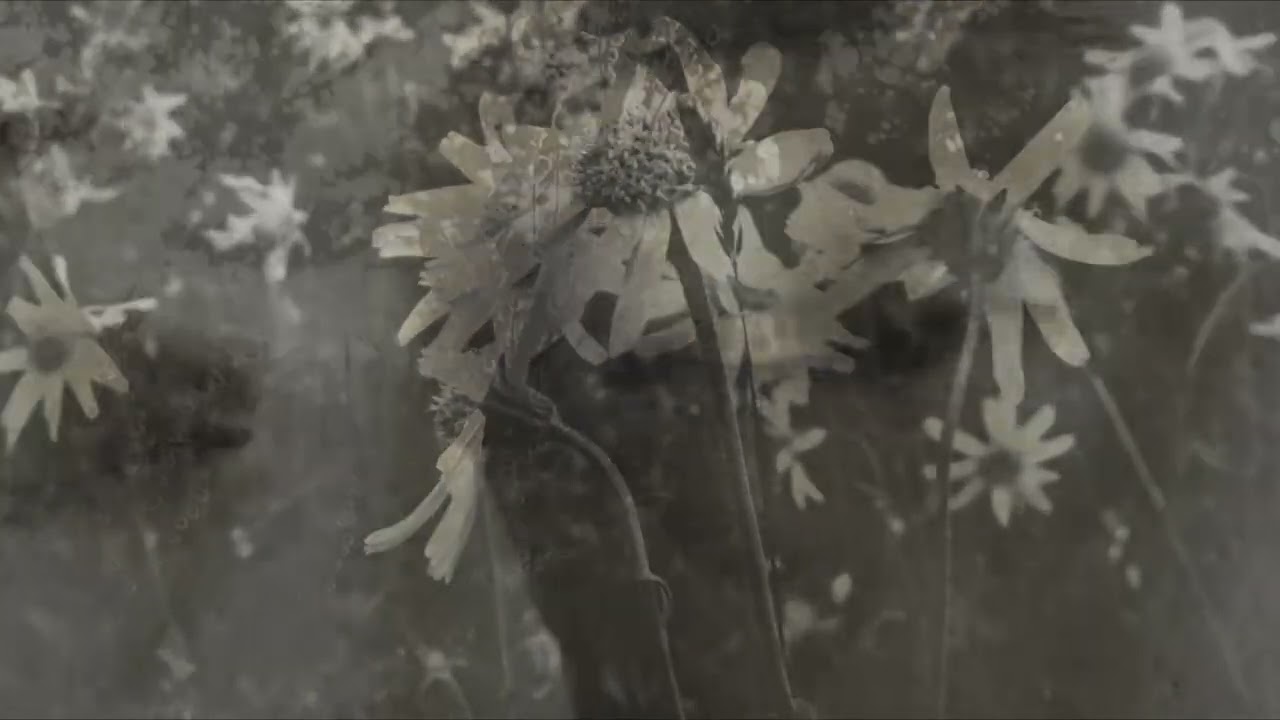 Moon Mother - It Comes With Shadows (Official Music Video)