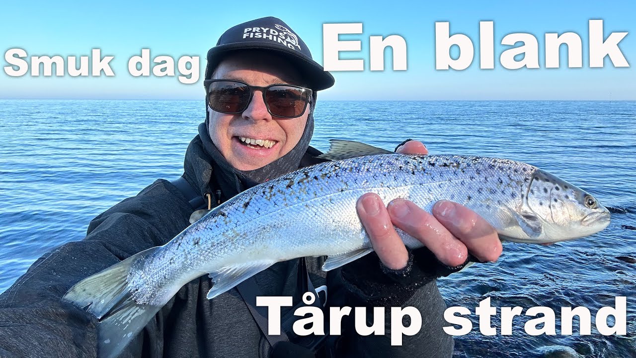 Tårup strand til Kløverhagen 🐟 Havørred Fiskeri