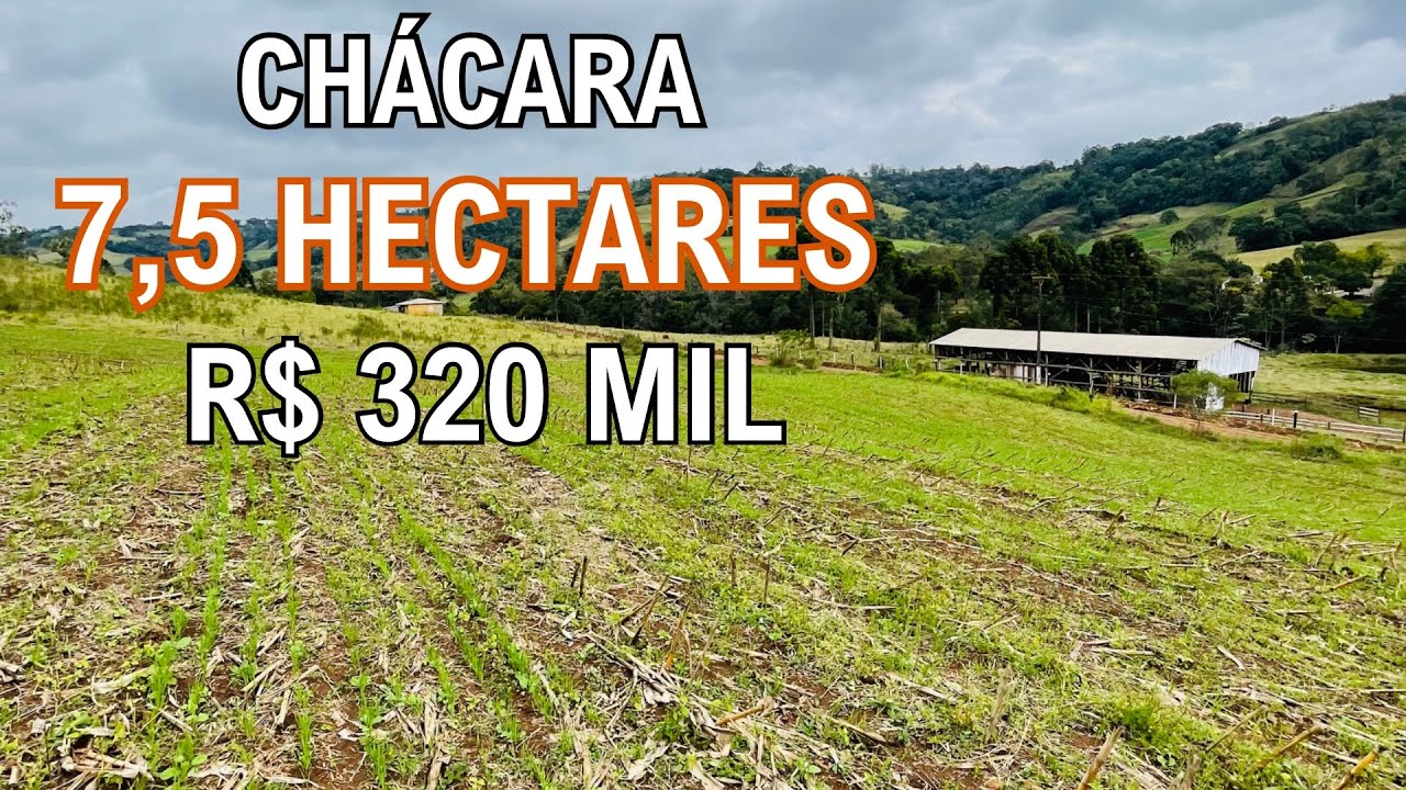 (EM RESERVA) CHÁCARA À VENDA EM SANTA CATARINA LAVOURA PASTAGEM E ÁGUA R$ 320 MIL