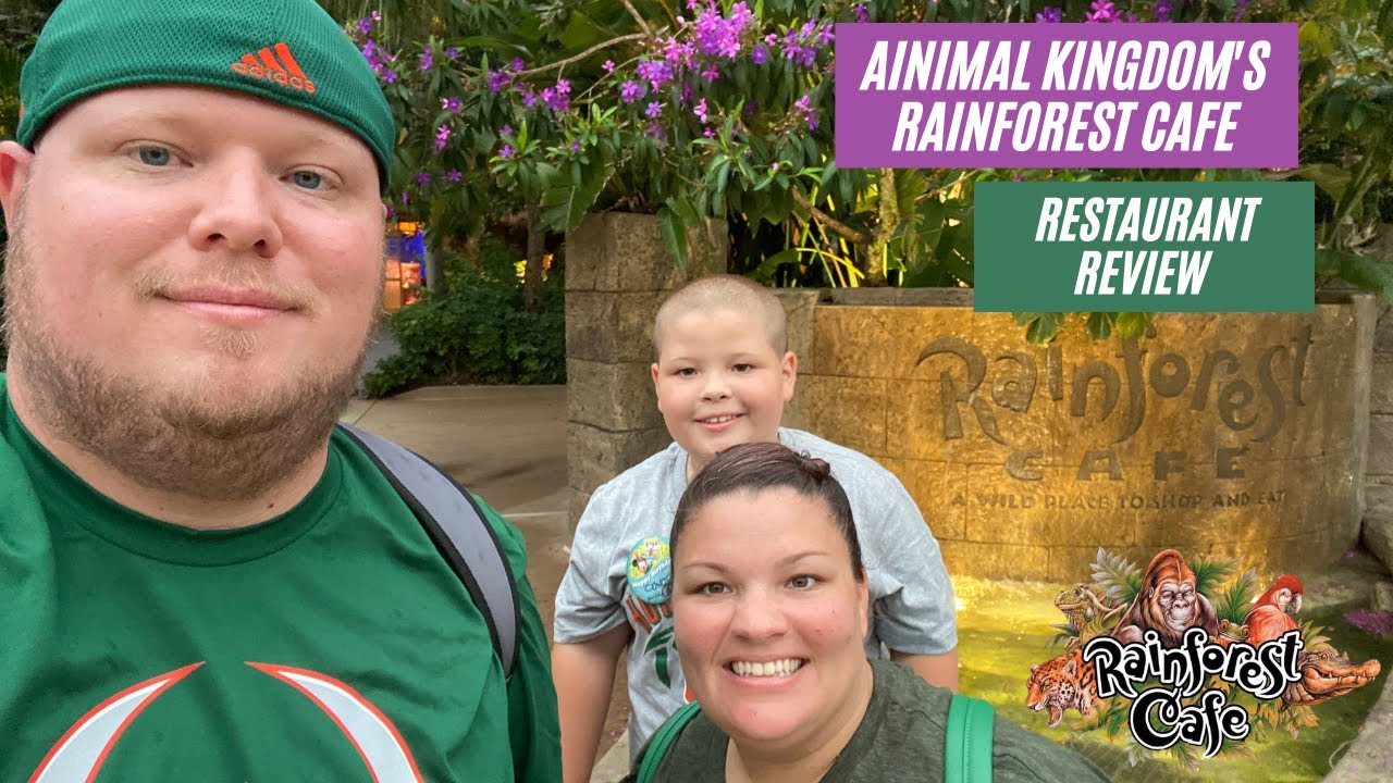 Rainforest Cafe at Disney's Animal Kingdom | Dining Review