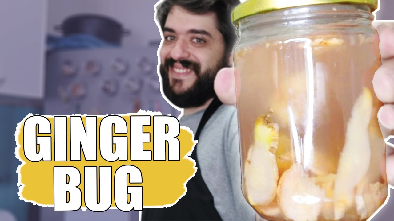 FERMENTO NATURAL GINGER BUG: O GUIA COMPLETO