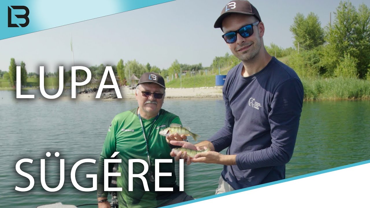 Lupa tavi sügér pergetés