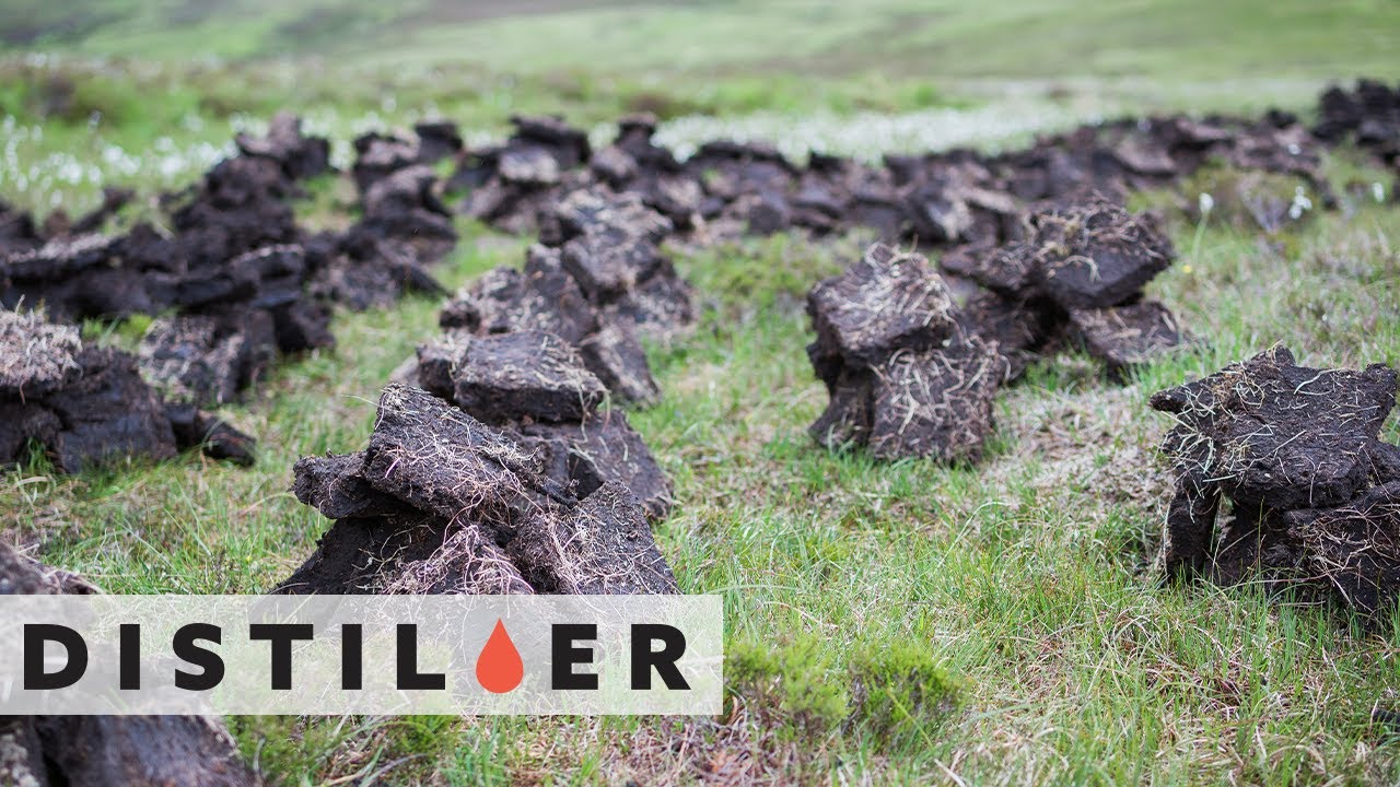 What is Peat? | Distiller