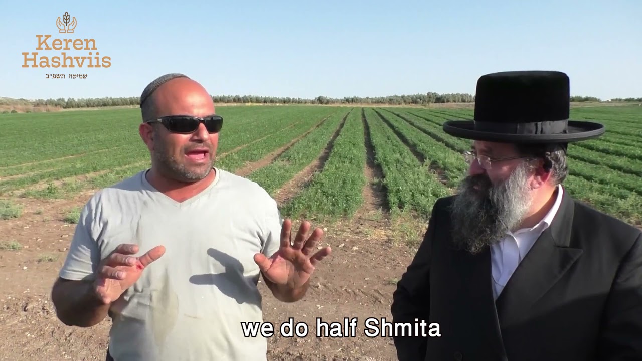 שמיטה צלפון