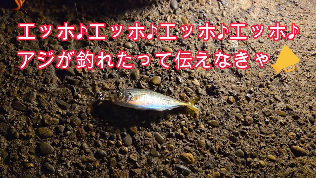 【茨城県鹿嶋市鹿島港魚釣園&港公園⚓ 釣行第7弾(通算21回目)🎣】2025年4月27・28日(日・月)に行った釣り動画です🎥