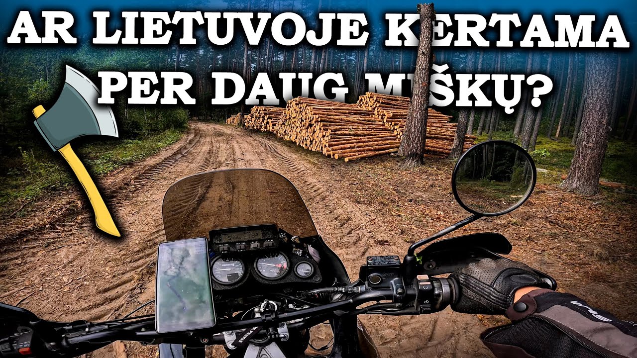 Pasivažinėjau miške motociklu – šokiravo masiniai miškų kirtimai!