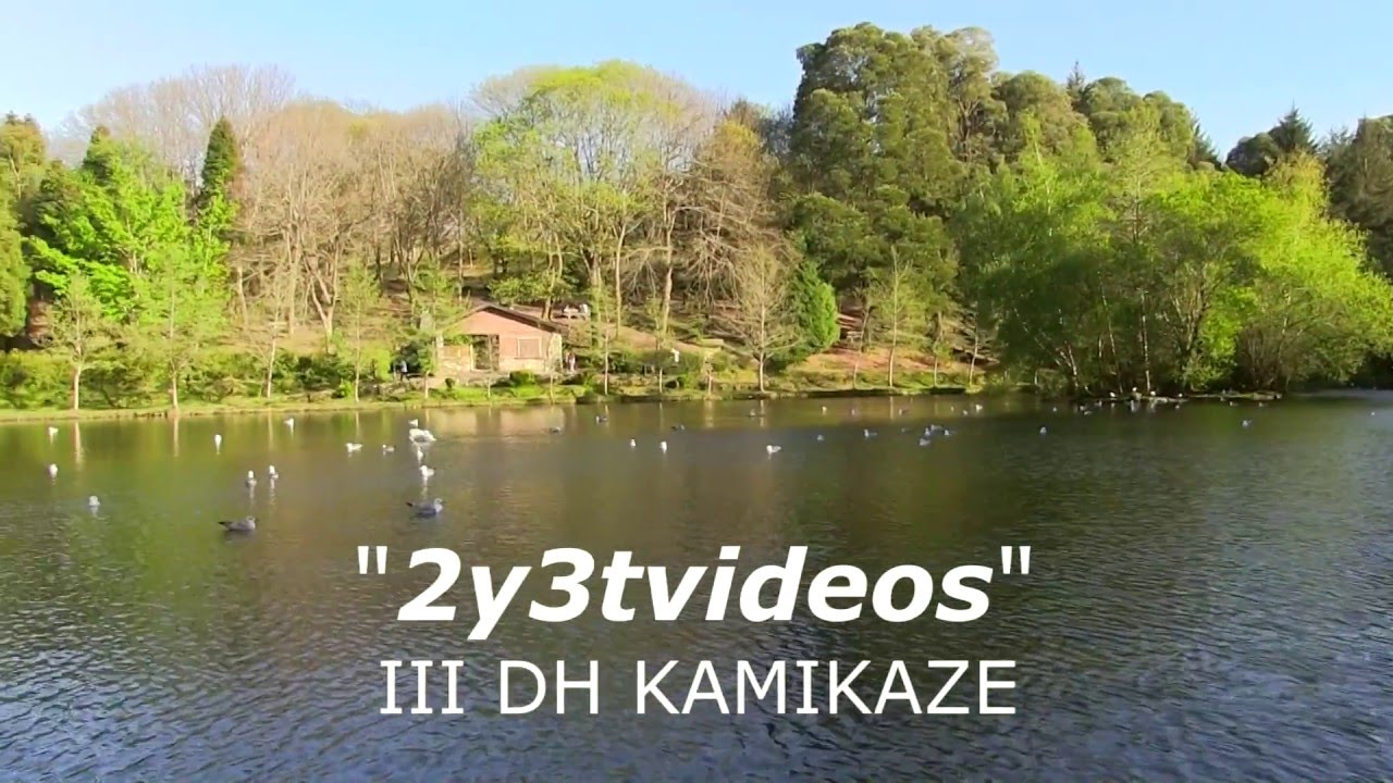 3&ordm; DH Kamikaze (Open Gallego) 2016 #2y3t.