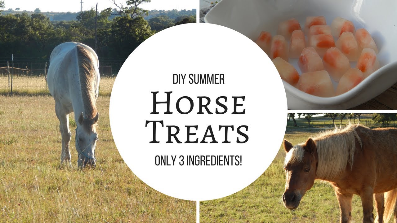 3 Ingredient Summer Horse Treats!