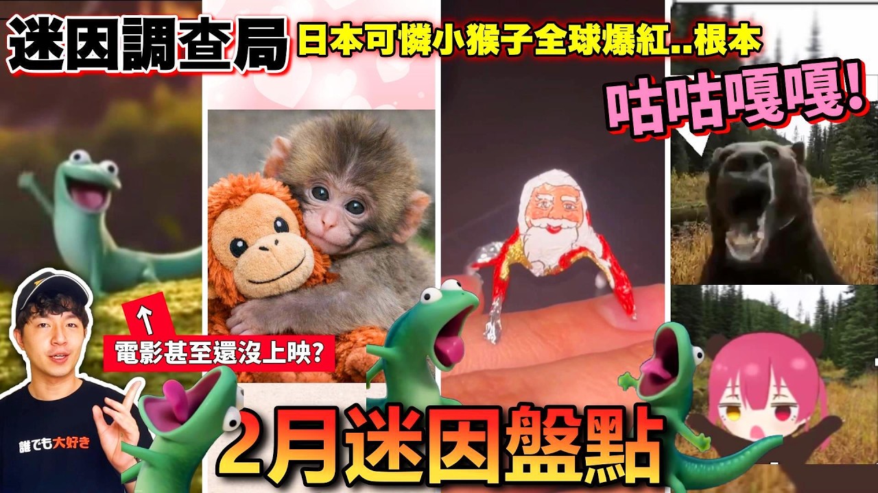 【迷因調查局】2月份爆紅的動物你認得幾個?小猴子Panchi,超ㄎ一ㄤ的蜥蜴Tom...咕咕嘎嘎? 2月份迷因盤點/LaggyBear/no batidão /Panchi/蜥蜴湯姆迷因