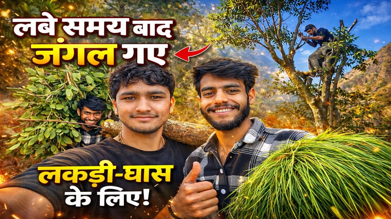 बचपन की यादें ताजा हो गई 😍 | पहाड़ के जंगल से लकड़ी और घास लाए